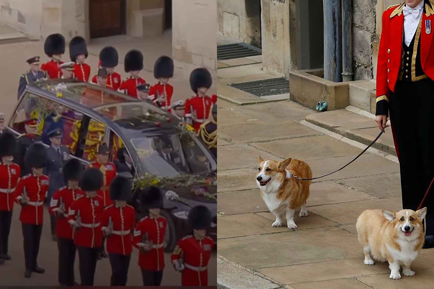 Reaksi anjing kesayangan Ratu Elizabeth II bila tahu tuannya dah tiada jadi tular