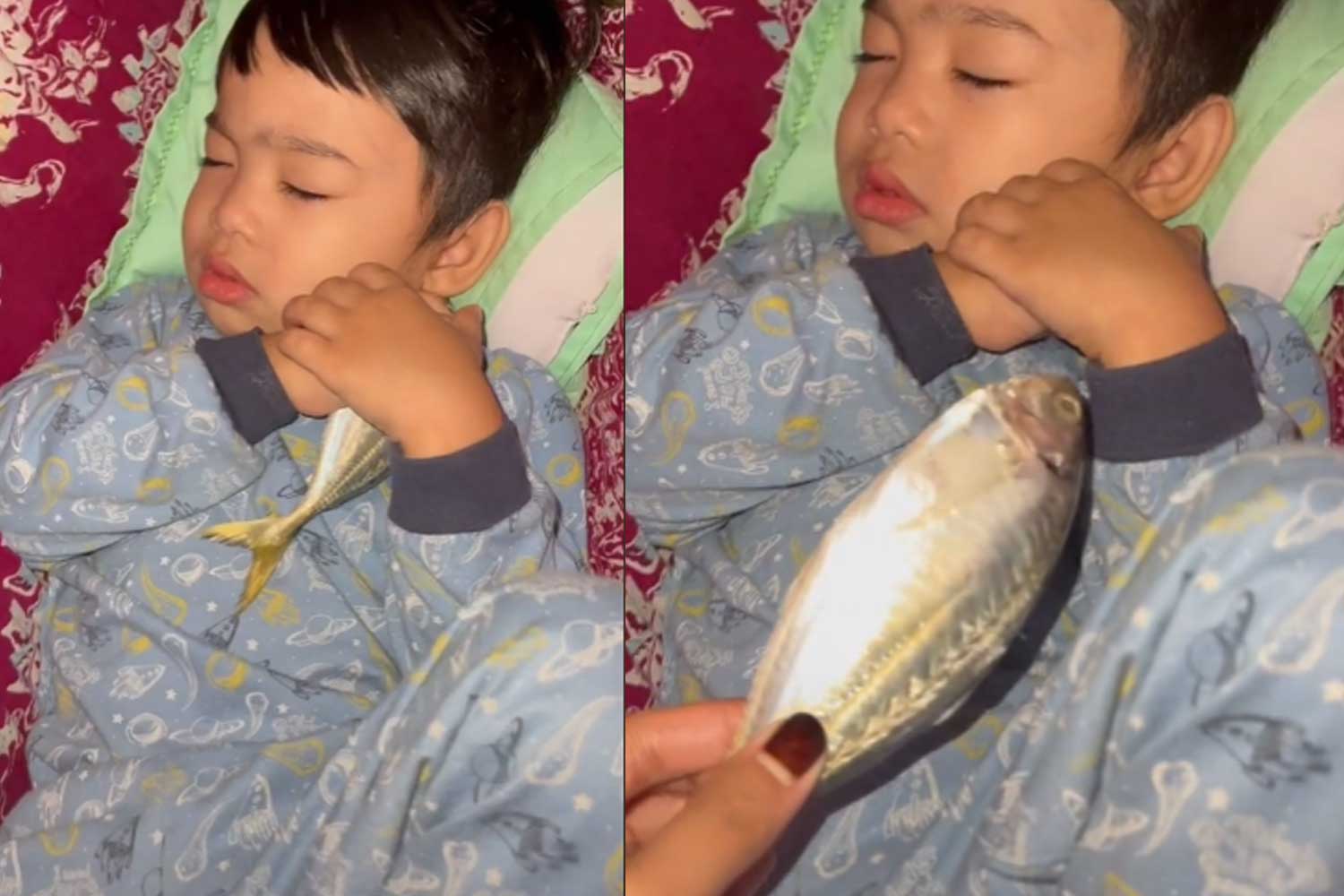 Budak 'taksub' dengan ikan mentah, siap buat jadi bantal