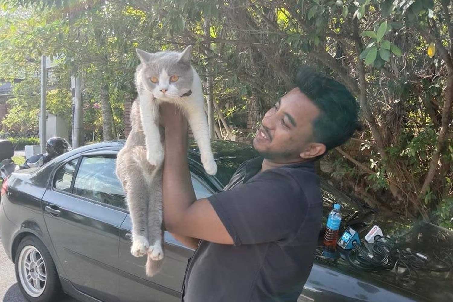 Kucing Anwar jadi penghibur buat wartawan bosan menunggu depan rumah