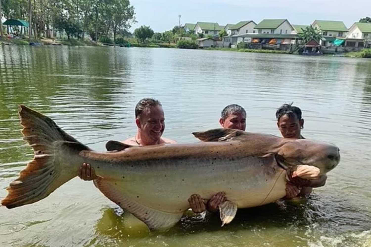 Pemancing berjaya naikkan patin paling besar dunia selepas 90 minit bertarung